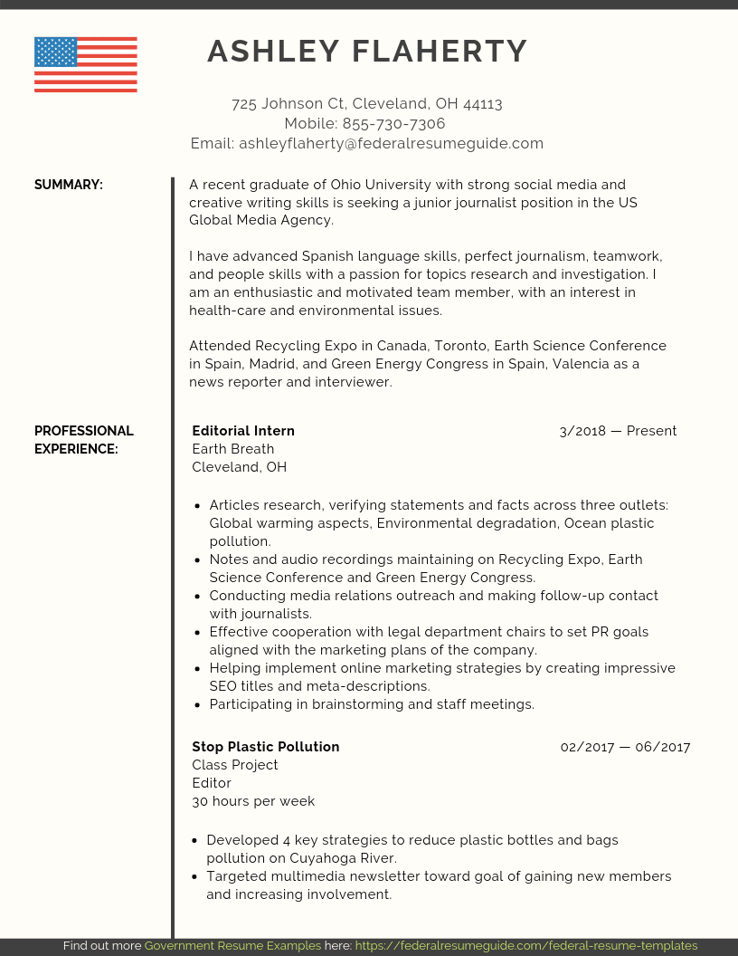 Entry Level Federal Resume Sample Federal Resume Guide