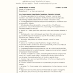 federal veteran resume example 2